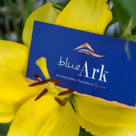 Blue Ark Acropolis Spirit Apartment Athens